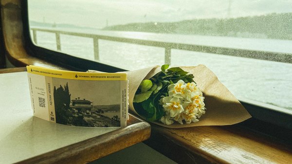 Location voiture automatique : la mg zs, parfaite pour voyager !